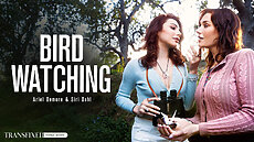 Transfixed.com - Bird Watching
