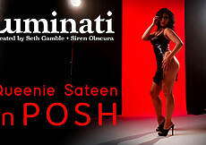 A glamorous and high-class lady accustomed to having her wishes fulfilled (Queenie Sateen) arrives back at her swanky penthouse after a night on the town. The seductive glow of the lights creates an alluring atmosphere as she erotically undresses, accompanied by a naked and eager man (Seth Gamble), her chosen companion for the evening. No time is misused as she swiftly takes charge, ensuring her cravings are satisfied with intense passion and pleasure.