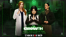 Lulu Chu, Penny Barber, Sophia Locke in PureTaboo 'The Growth' video