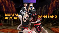 FINISH HIM!These 4 stunning ninjas are trained to beat anyone off in a 1v1 situation...Just watch out for their secret moves.