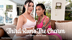 Two neighbors, Jane (Leah Hayes) and Martina (Ravyn Alexa), have become jogging partners, going on weekly runs together. Over the course of three weeks, we see moments of Martina walking Jane up to her front door after each run. It's clear they have a crush on each other, and we see this affection grow over each instance. Finally, on the third week, Jane makes a move and invites Martina inside. Once inside, they can't keep their hands off each other, leading to passionate, energetic sex in her living room.